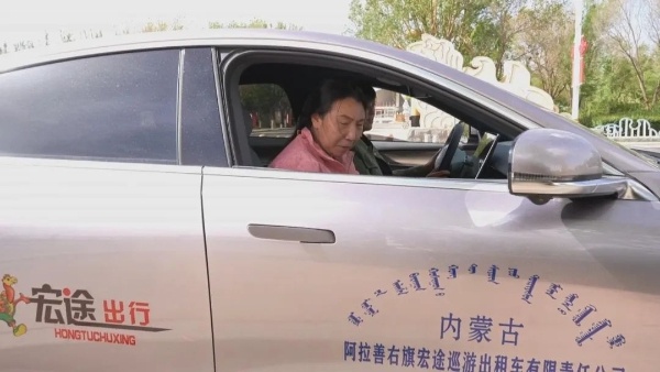 阿拉善右旗新能源出租车投入运营，绿色低碳转型大步迈进？  第3张