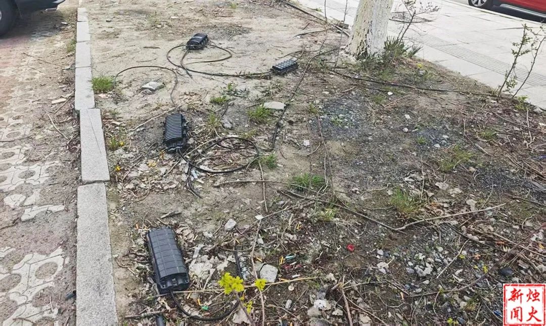 城市微治理行动推进！这些单位在市容细节改善上咋差距这么大？  第10张