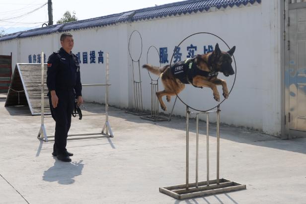 遵义公安获公安部表扬！12人15犬的警犬中队凭何脱颖而出？  第3张