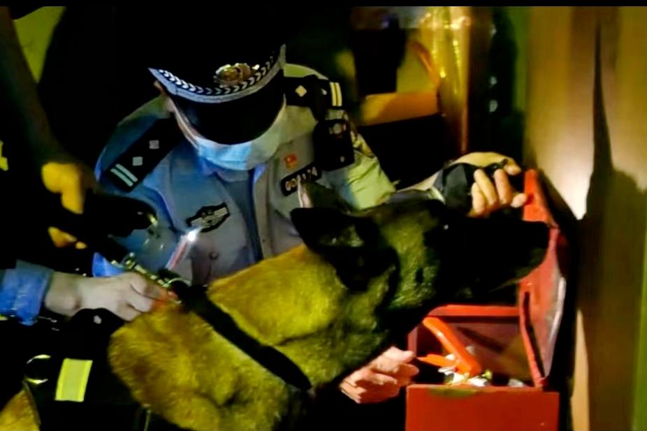 遵义公安获公安部表扬！12人15犬的警犬中队凭何脱颖而出？  第4张