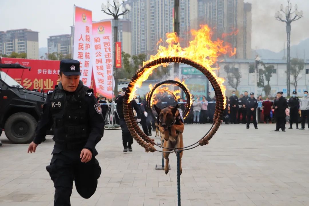 遵义公安获公安部表扬！12人15犬的警犬中队凭何脱颖而出？  第5张