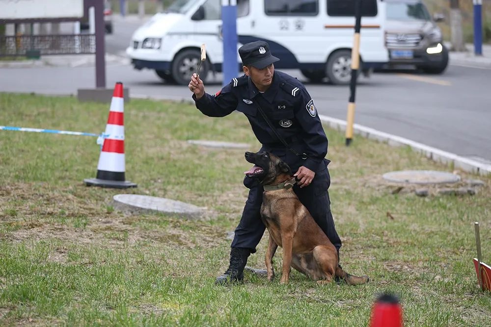 遵义公安获公安部表扬！12人15犬的警犬中队凭何脱颖而出？  第6张