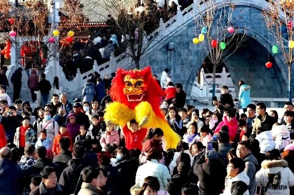 2025年临清龙狮争霸赛来袭！全年龄段嗨翻端午？  第3张