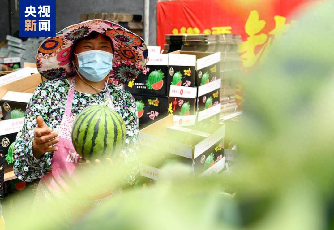 夏日吃瓜季！两三秒判断瓜熟没熟的验瓜师是咋练成的？