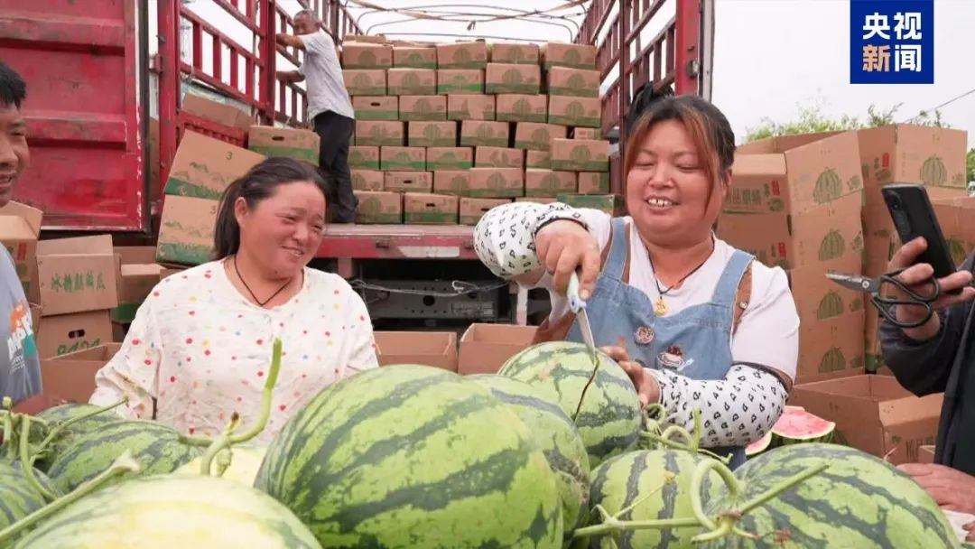 夏日吃瓜季！两三秒判断瓜熟没熟的验瓜师是咋练成的？  第2张