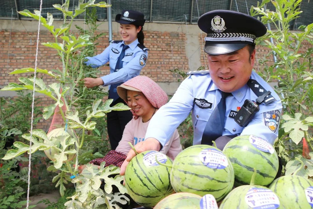 五月甘肃公安忙啥？送安全进田间地头，反诈宣传超硬核  第2张