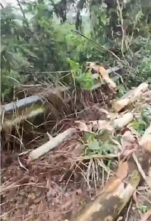广西玉林北流市大伦镇遭水灾！暴雨成灾水田变河，情况究竟多危急？  第2张