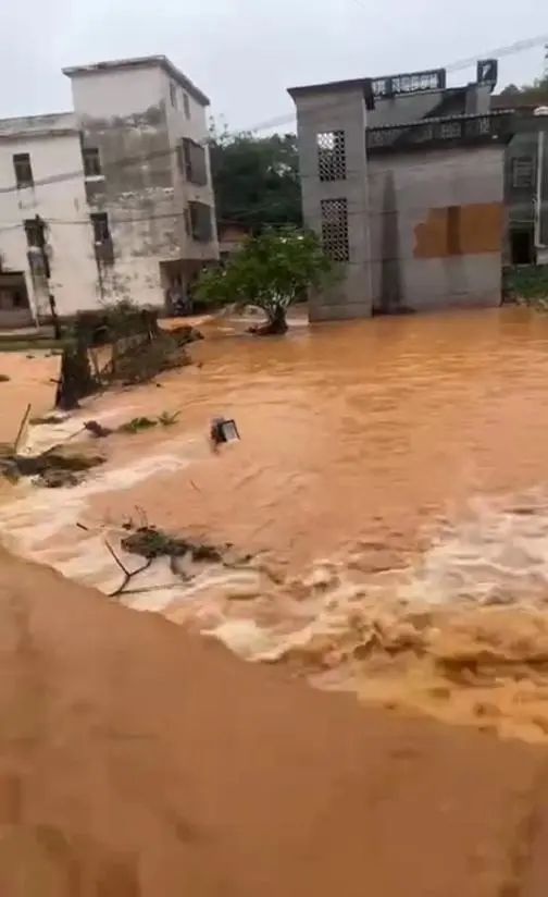 广西玉林北流市大伦镇遭水灾！暴雨成灾水田变河，情况究竟多危急？  第3张