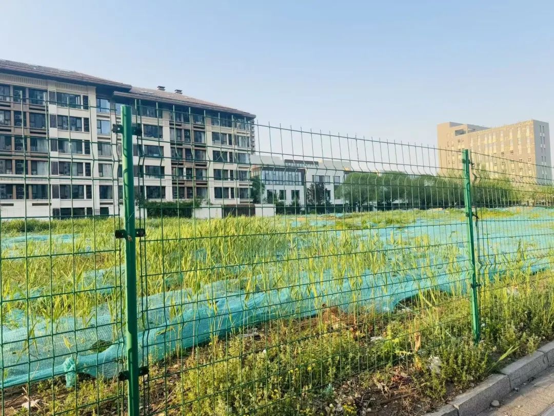 通州区台湖镇这块闲置空地能否成停车场？停车难咋解  第3张