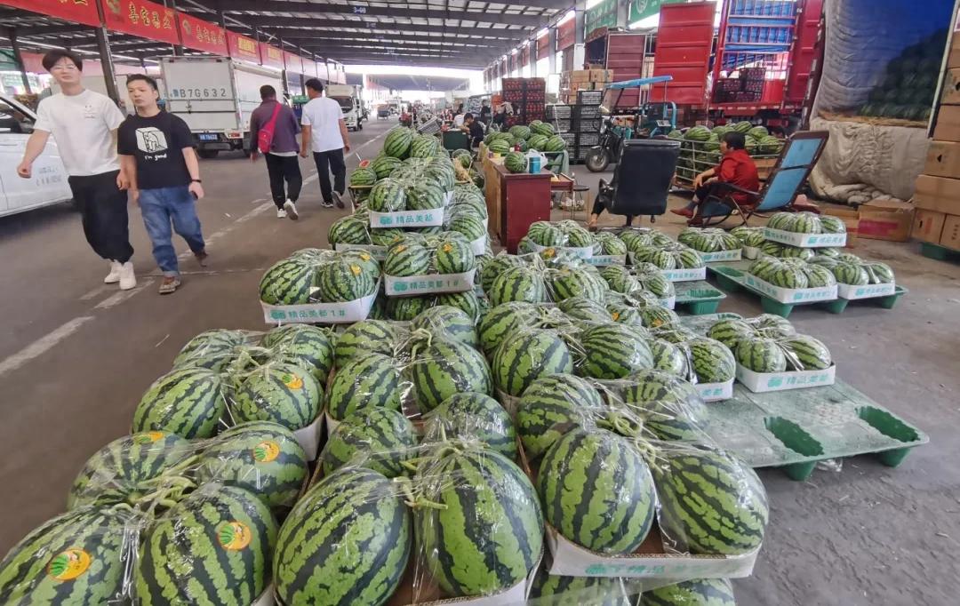 西瓜价格暴跌近50%！未来还会跌？今夏水果自由要实现了？