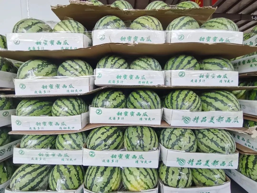 西瓜价格暴跌近50%！未来还会跌？今夏水果自由要实现了？  第5张