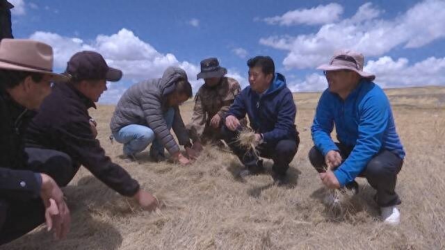 5月17日县长巡林巡草巡河巡湖，草原河道治理咋推进？