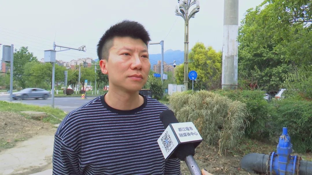 都江堰市绿化改造解民忧！这一举措如何保障市民出行安全？  第3张