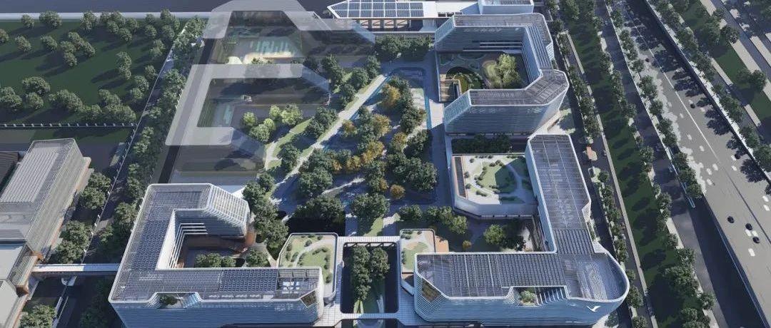 厦门市第五医院肾绞痛中心揭牌！全国100家中心如何改变你的就医体验？  第4张