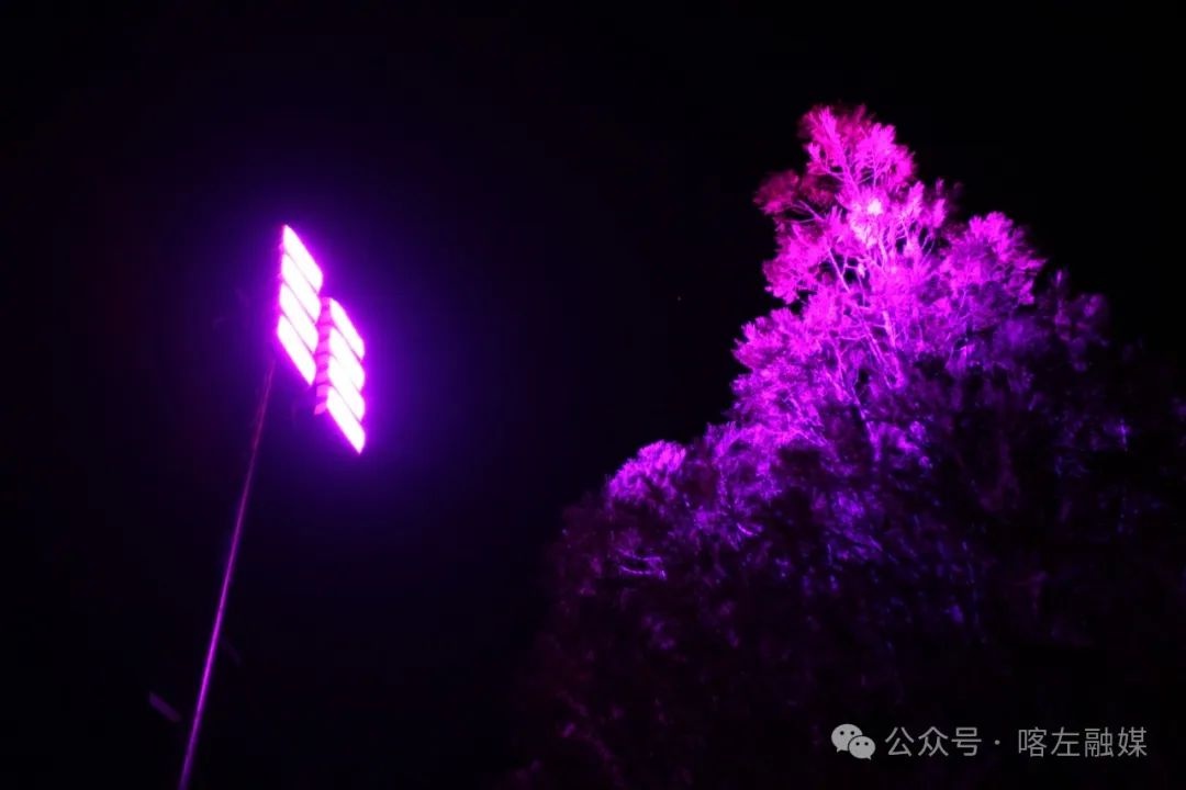 夜幕下的东山森林公园，189级台阶竟变身流光溢彩的溪流！你见过这样的奇景吗？  第11张