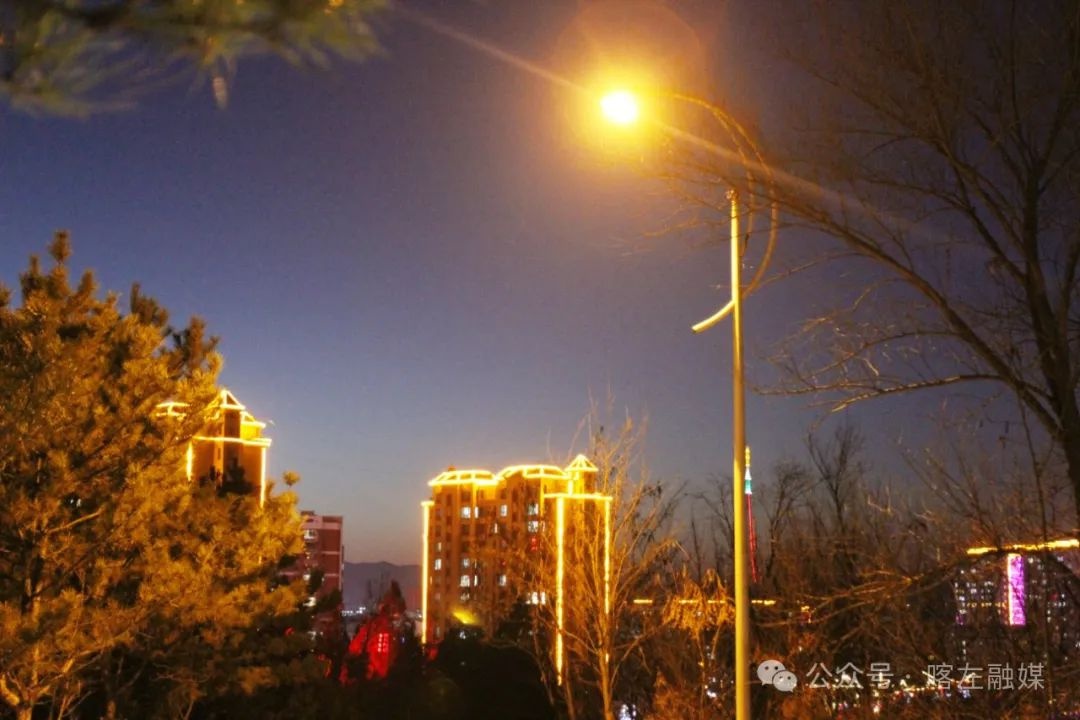 夜幕下的东山森林公园，189级台阶竟变身流光溢彩的溪流！你见过这样的奇景吗？  第13张