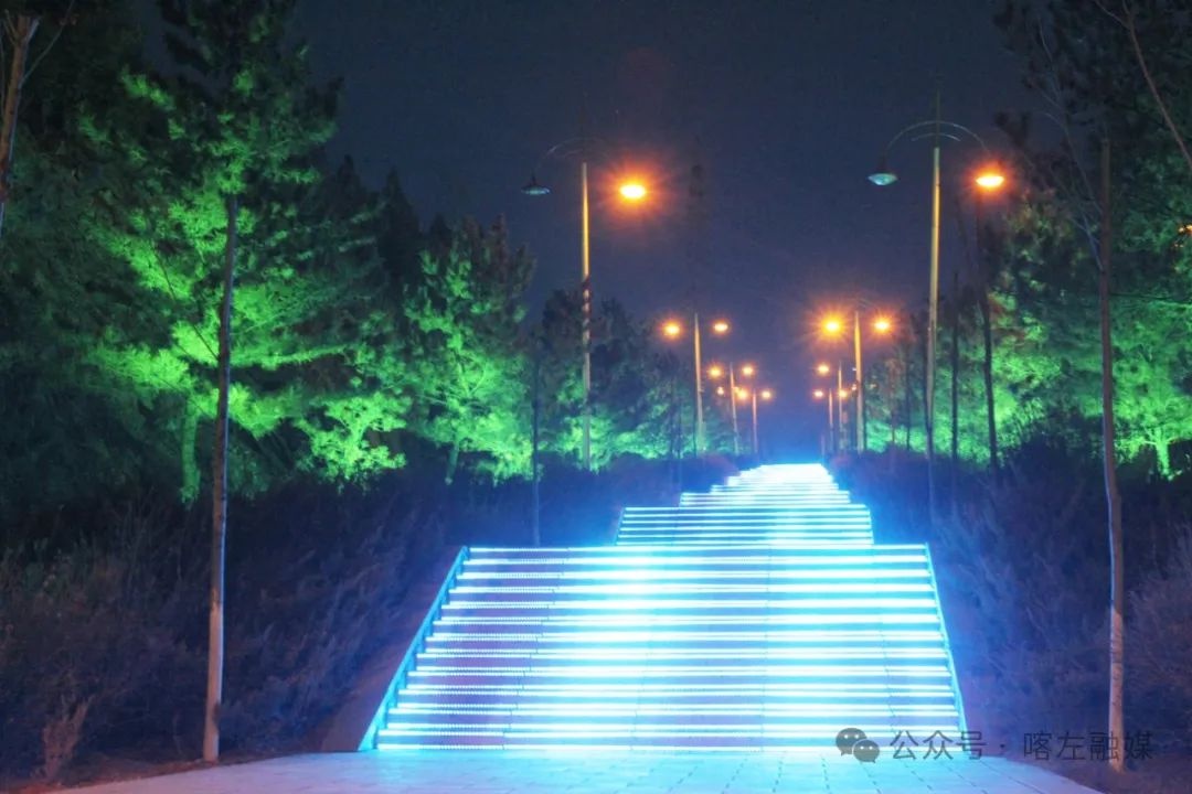 夜幕下的东山森林公园，189级台阶竟变身流光溢彩的溪流！你见过这样的奇景吗？  第6张