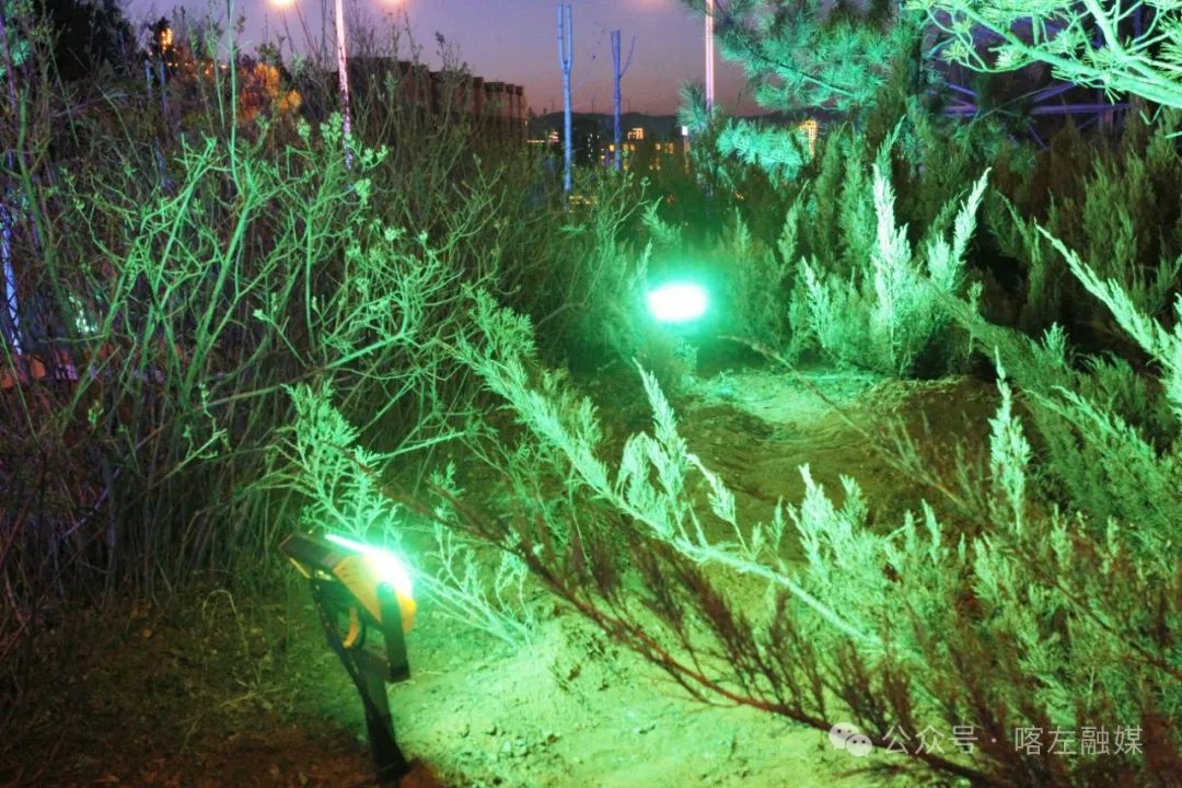 夜幕下的东山森林公园，189级台阶竟变身流光溢彩的溪流！你见过这样的奇景吗？  第8张