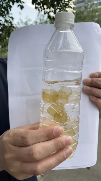 广东海边惊现神秘爆爆珠！是野生史莱姆还是赤潮大暴发？专家揭秘真相  第2张