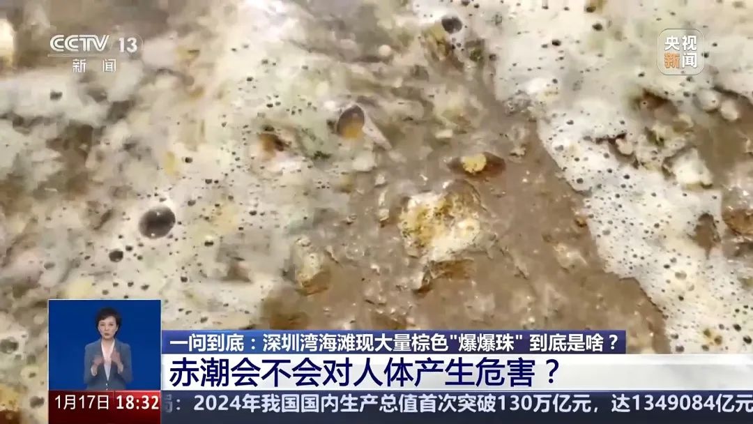 广东海边惊现神秘爆爆珠！是野生史莱姆还是赤潮大暴发？专家揭秘真相  第5张