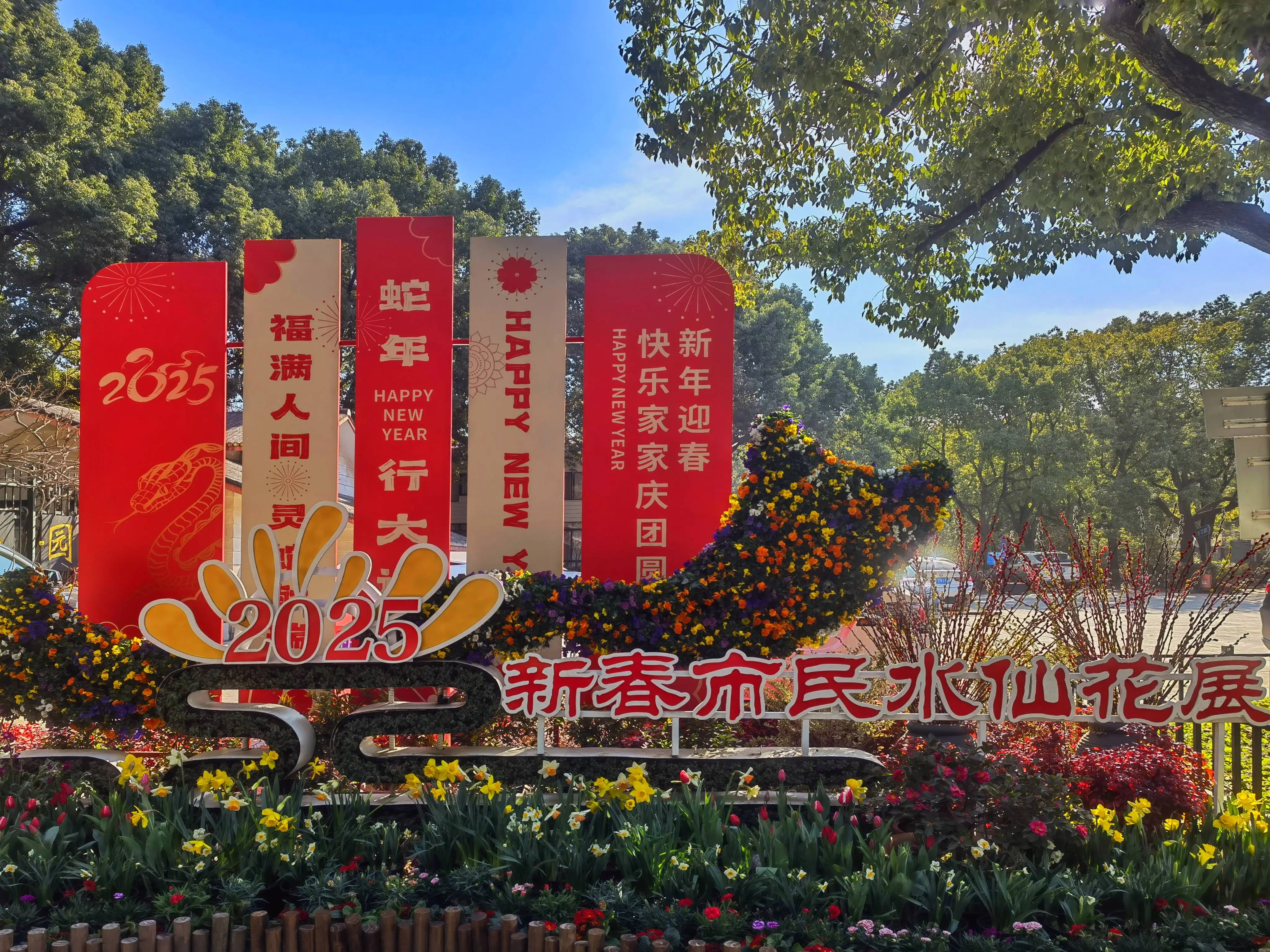 2025新春水仙花展惊艳开幕！近百盆大师级水仙雕刻作品等你来赏  第1张