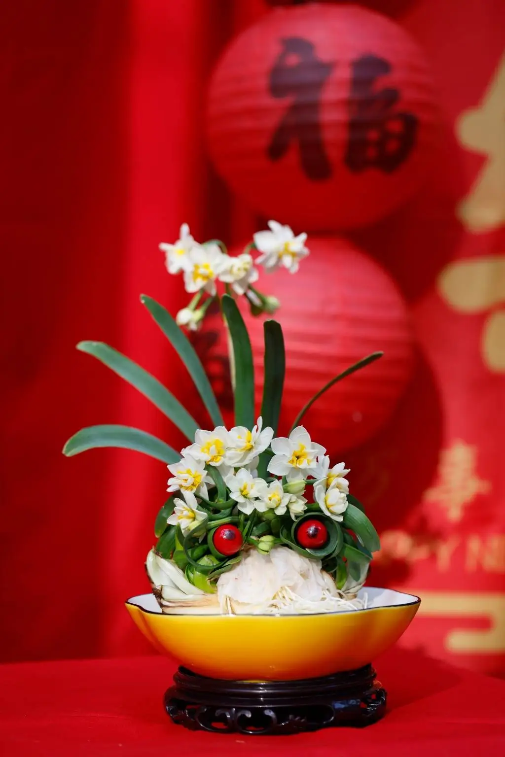2025新春水仙花展惊艳开幕！近百盆大师级水仙雕刻作品等你来赏  第4张