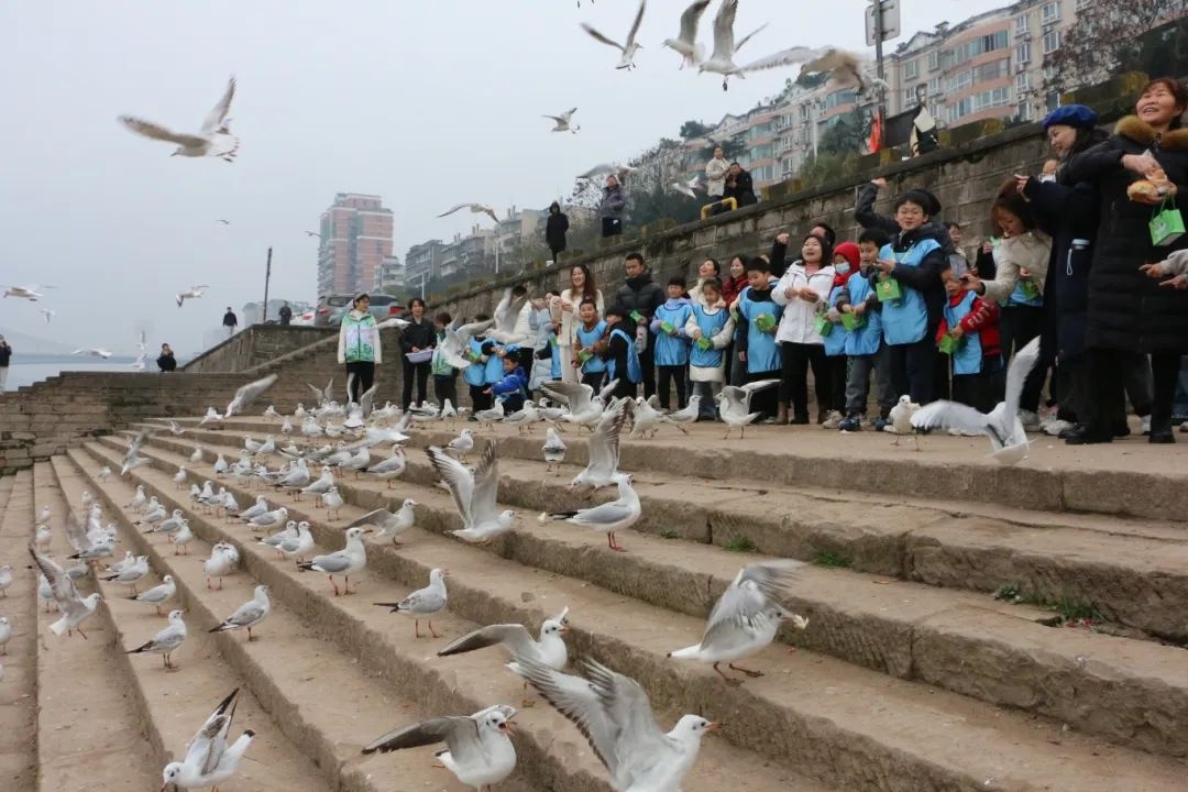 22名芽宝变身红嘴鸥饲养员，这场寒假研学活动竟如此有趣！你猜他们学到了什么？  第2张