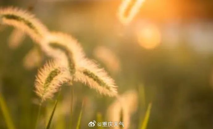四九寒天竟然回暖？全国气温反常上升，部分地区或打破最暖纪录  第4张