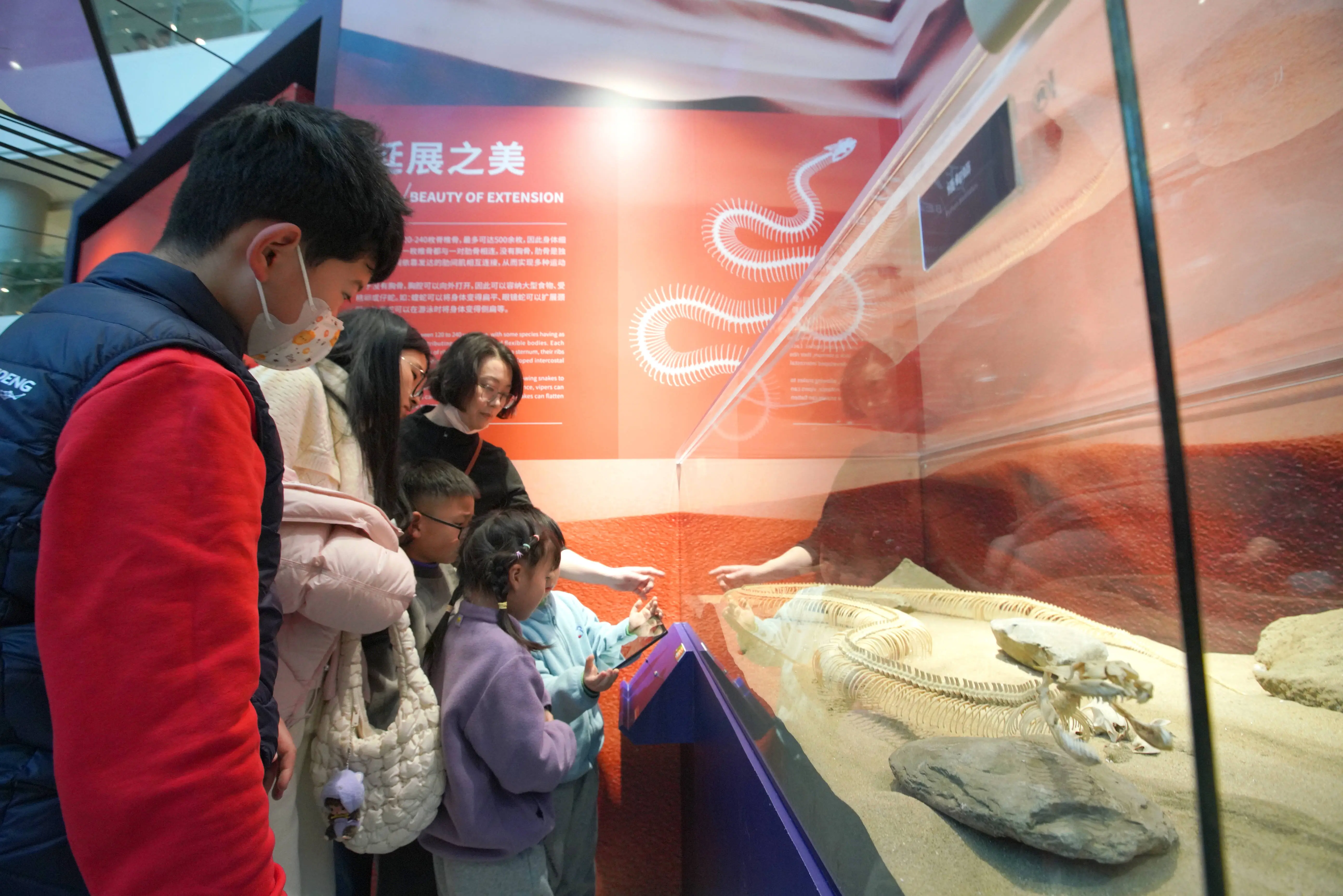 2025蛇年生肖特展震撼开幕！你准备好探索神秘蛇境了吗？  第1张