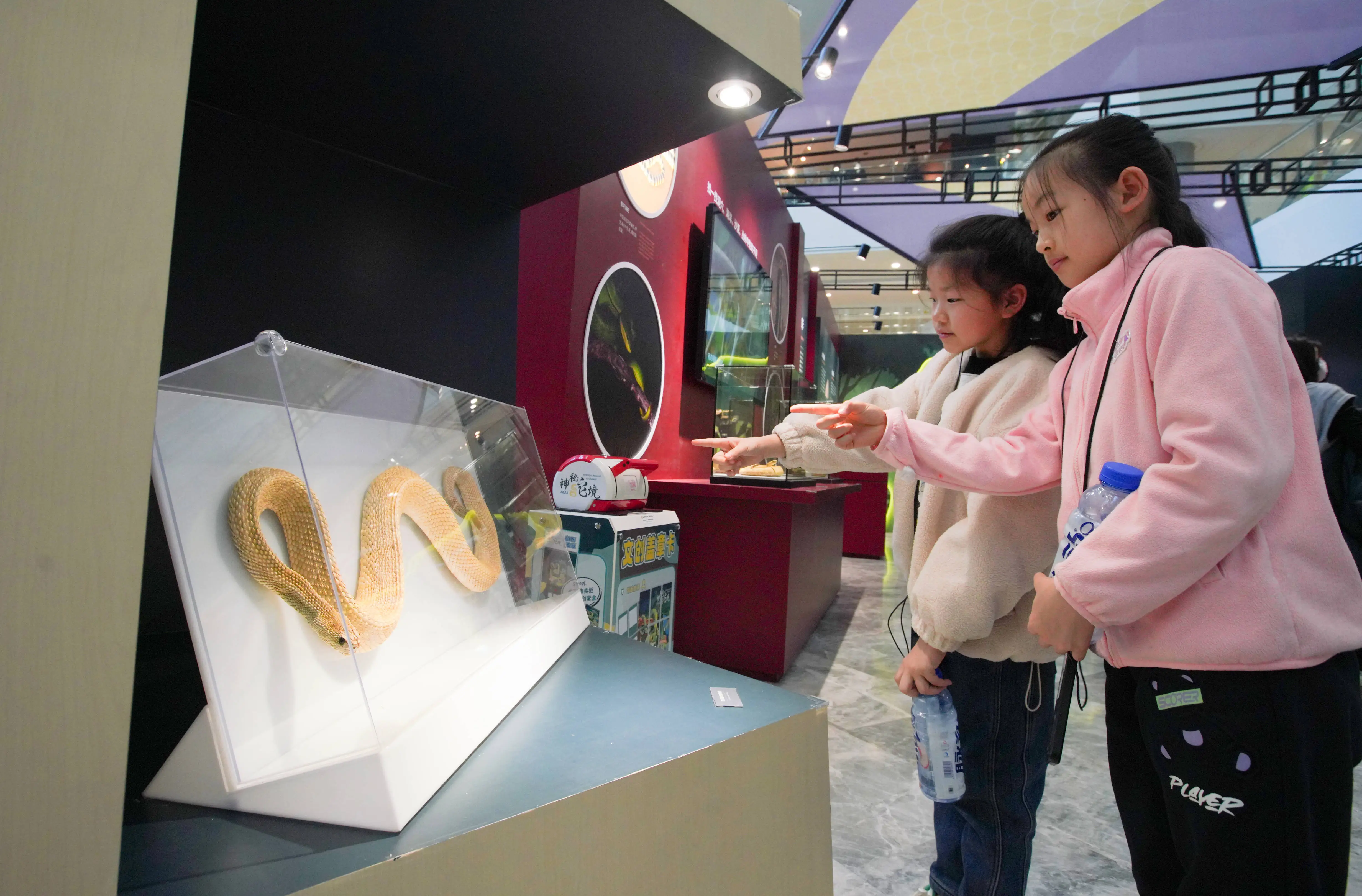 2025蛇年生肖特展震撼开幕！你准备好探索神秘蛇境了吗？  第2张