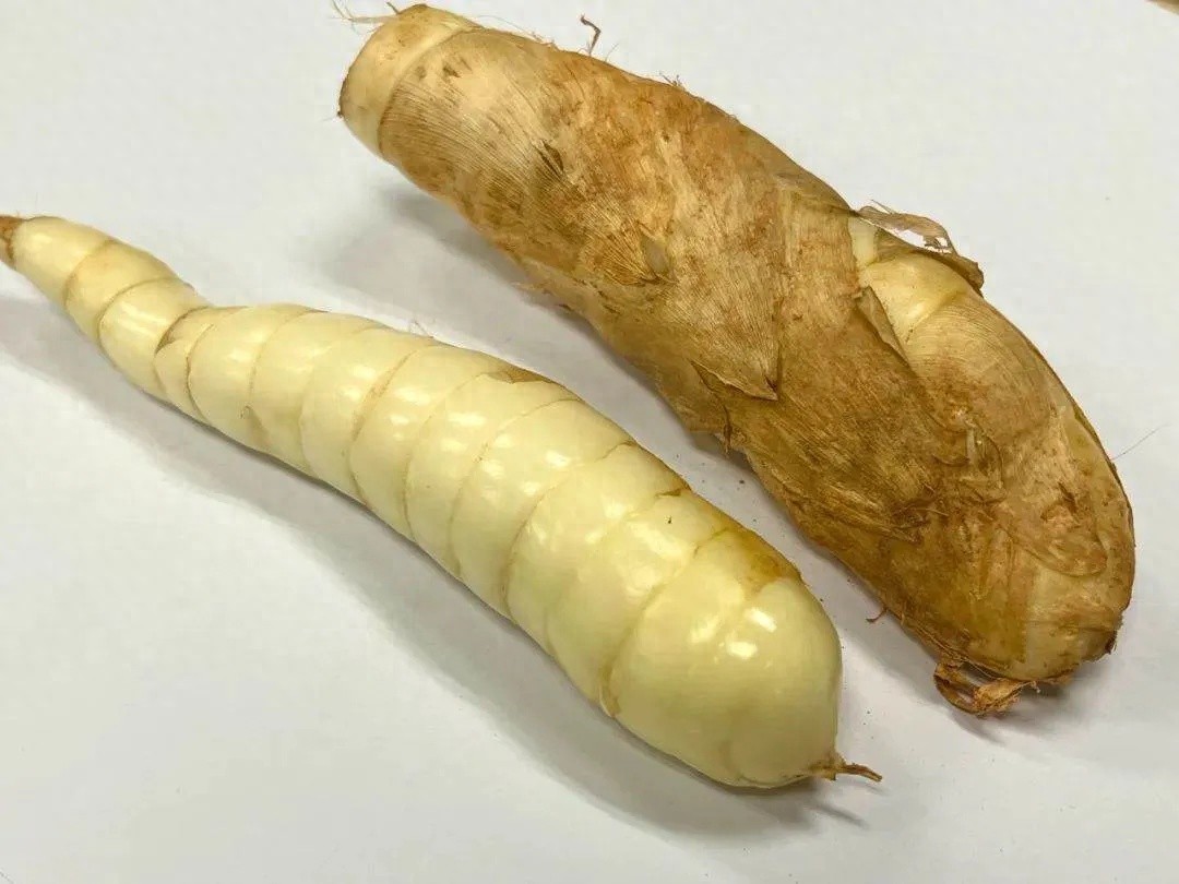竹薯爆火！广东人爱不释手，减肥美容神器还是智商税？真相揭秘  第1张