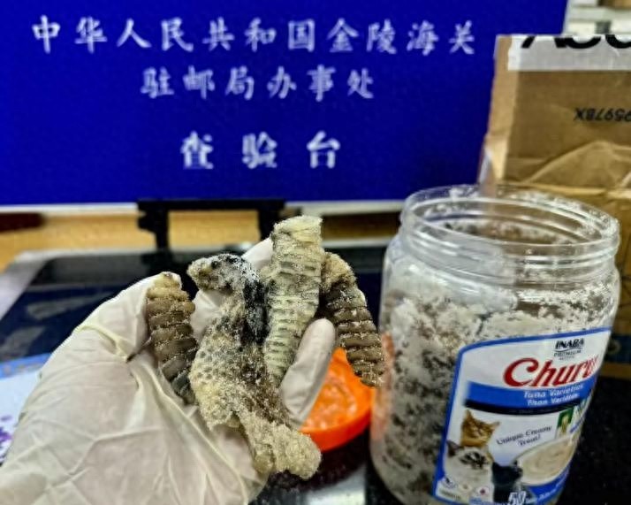 生腌响尾蛇？海关查获1.2公斤，你敢尝试吗？  第1张