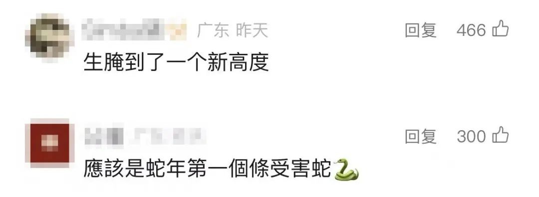 生腌响尾蛇？海关查获1.2公斤，你敢尝试吗？  第3张