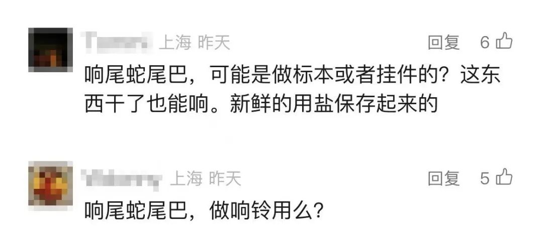 生腌响尾蛇？海关查获1.2公斤，你敢尝试吗？  第4张