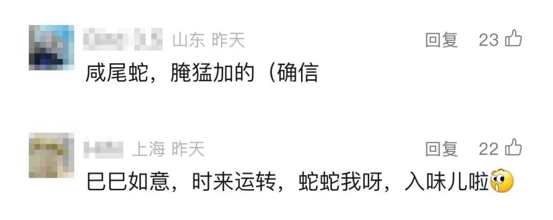 生腌响尾蛇？海关查获1.2公斤，你敢尝试吗？  第5张