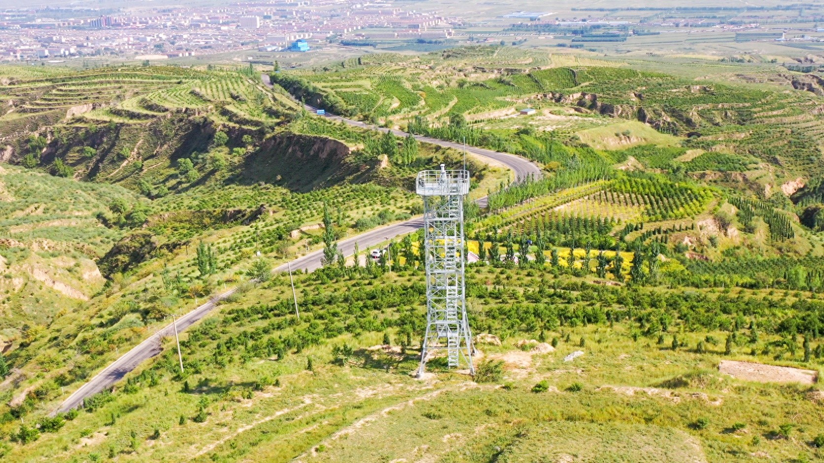 五台山林管局如何守护220万亩林草资源？揭秘三大高效措施