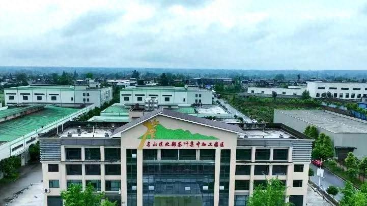 名山区春茶即将开园，12家茶企如何实现年产值2000万以上？