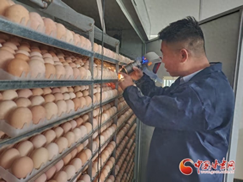 西坡镇如何通过特色产业模式实现农业增效？揭秘成功背后的秘密