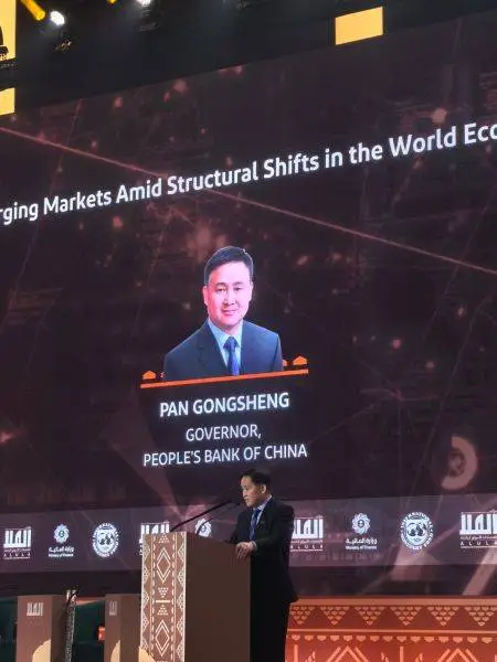 2025年全球经济大变局！新兴市场经济体能否成为救世主？  第1张