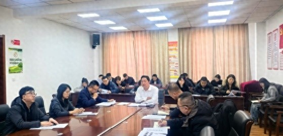 2025年以工代赈项目如何改变你的生活？全面解读最新政策