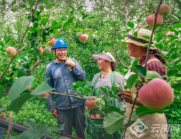 惊蛰过后，滇东大地春耕正忙！董学春的24亩育苗地如何迎来销售旺季？  第3张