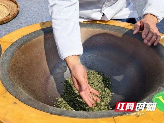 湘西春茶品鉴会火热进行中，你可知手工炒茶的独特魅力？  第2张
