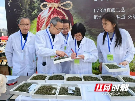 湘西春茶品鉴会火热进行中，你可知手工炒茶的独特魅力？  第3张