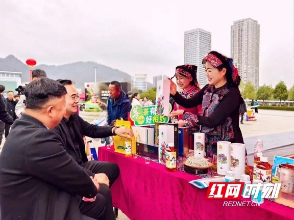 湘西春茶品鉴会火热进行中，你可知手工炒茶的独特魅力？  第5张