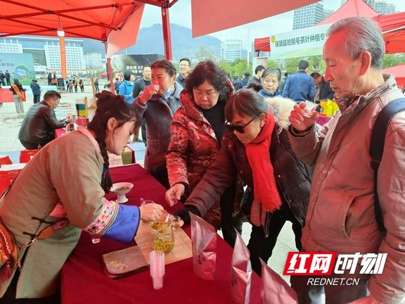 湘西春茶品鉴会火热进行中，你可知手工炒茶的独特魅力？  第6张