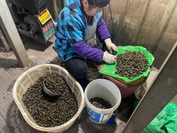 清明节前螺蛳最鲜美，你尝过了吗？快来体验鲜上加鲜的美味  第2张