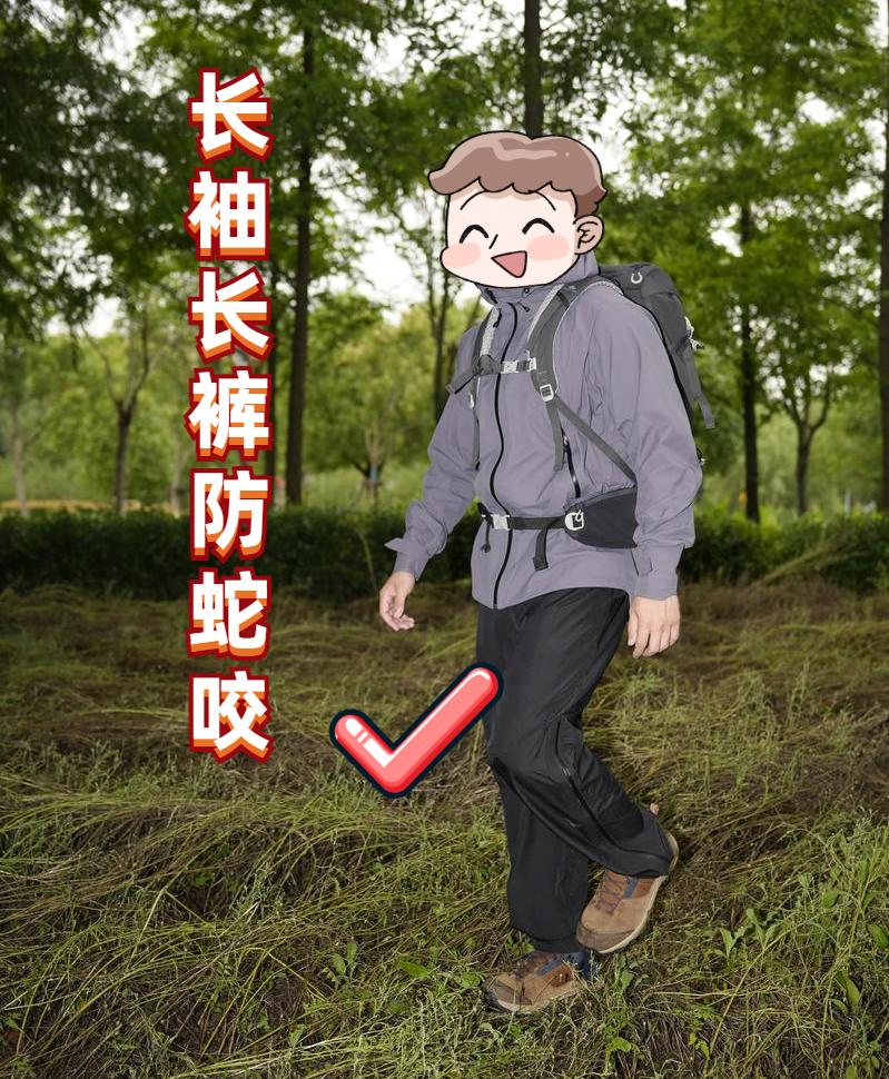 广州张先生家中翻木板竟被毒蛇咬伤，春季蛇出没我们该如何防范？  第4张