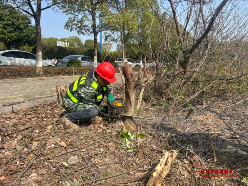 枝江市为何突然出动50余名执法人员？城市门面大整治的背后原因是什么  第2张