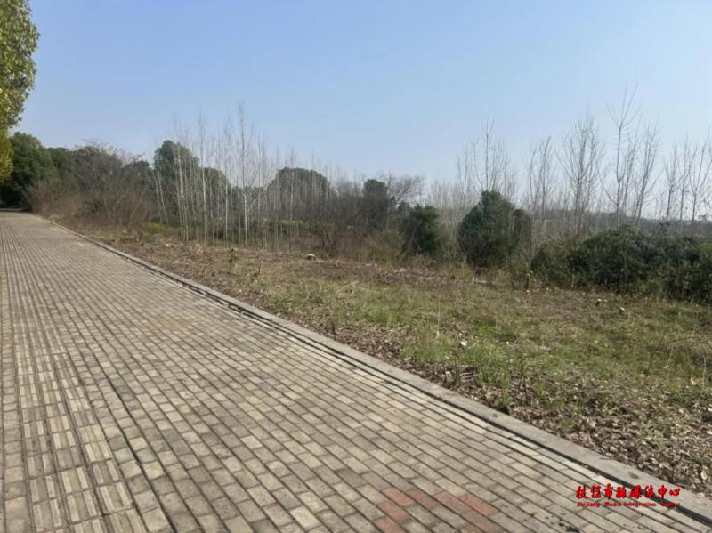 枝江市为何突然出动50余名执法人员？城市门面大整治的背后原因是什么  第3张