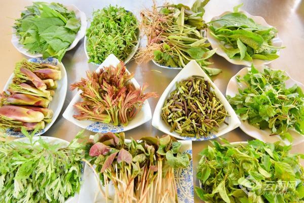 昌宁春天，为何能唤醒沉睡的田野，催开连片油菜花？  第4张